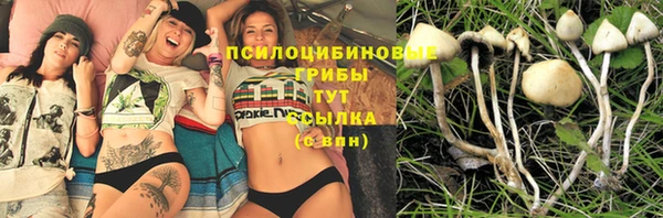 соль курить ск Арсеньев