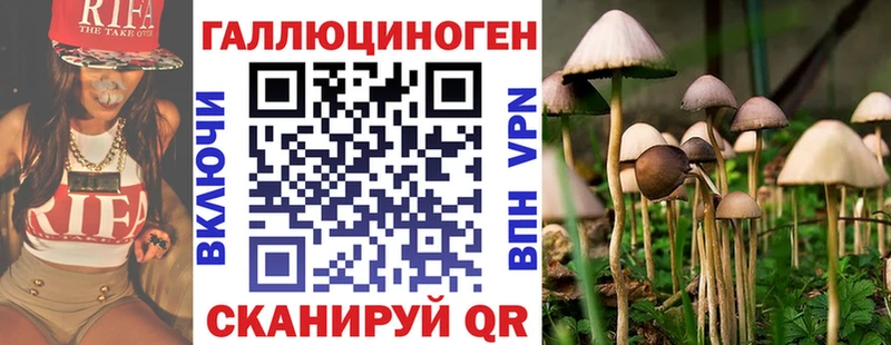 Купить где  Струнино  Псилоцибиновые грибы ЛСД 